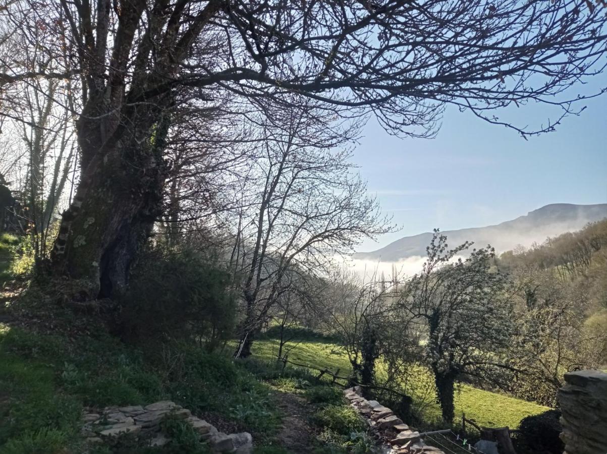 Albergue Eco El Beso - Vegano Tríacastela Dış mekan fotoğraf