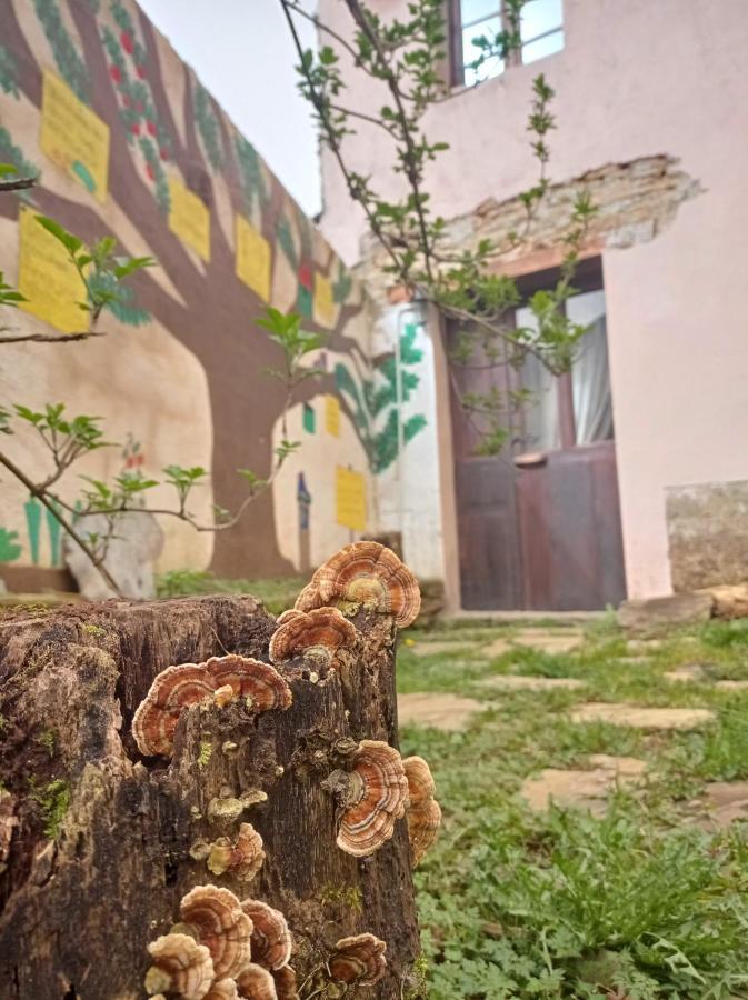 Albergue Eco El Beso - Vegano Tríacastela Dış mekan fotoğraf